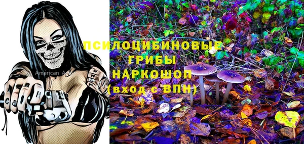 ПСИЛОЦИБИНОВЫЕ ГРИБЫ Белоозёрский