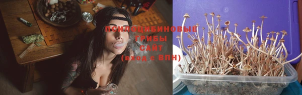 соль курить ск Белокуриха