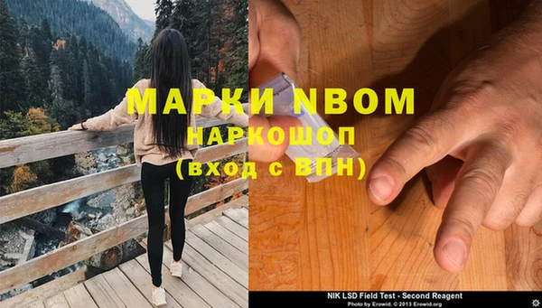 ПСИЛОЦИБИНОВЫЕ ГРИБЫ Белоозёрский