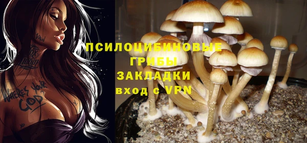 соль курить ск Белокуриха