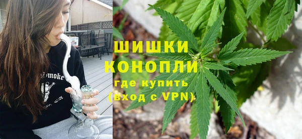ПСИЛОЦИБИНОВЫЕ ГРИБЫ Белоозёрский