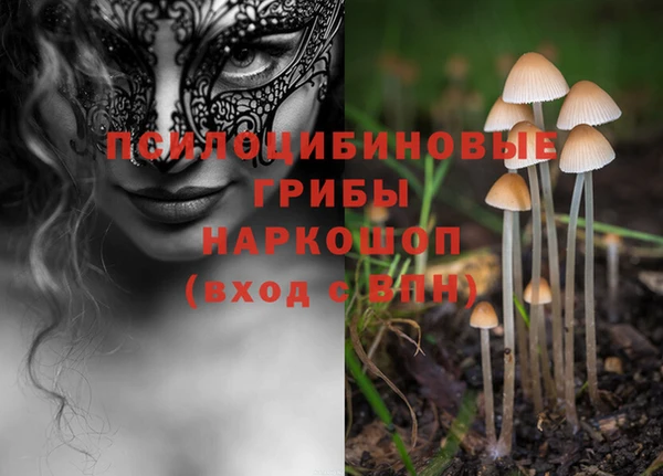 метадон Беломорск