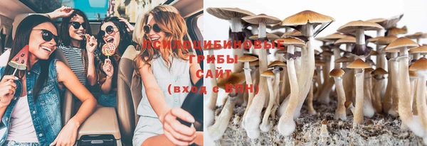 соль курить ск Белокуриха